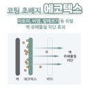 상북카센타