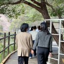 비니하니하우스 이미지