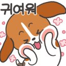 댕댕이냥냥 이미지