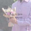 The 설렘 이미지