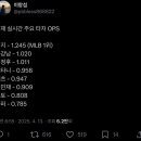 ??: 이정후 OPS 별로 안 높은데? 이미지