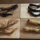 약손본가 이미지