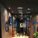 피피코인 동전노래연습장 이미지