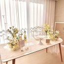 도노 | 답프로포즈 소품 대여 <도노오브> 후기