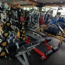 철인헬스클럽 이미지