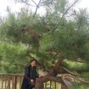 강천식당 이미지