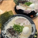 후쿠오카 라멘 맛집 하카타잇코샤 후기 현지인 인기 라멘집