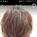 자르세헤어 이미지