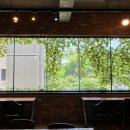 아이비586 이미지