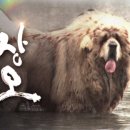 짱오농장 이미지