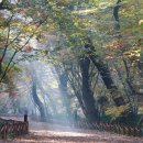 함양배움길 이미지