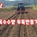 주말텃밭 만들기! 밭뒤집기 *밑거름 퇴비 석회 액비 이미지