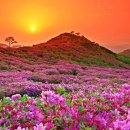 장생원