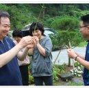 솔향기 힐링 하우스 이미지