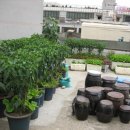 천하농장 이미지