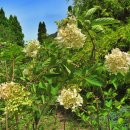 나루터곰탕 이미지