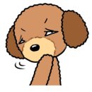 오늘은두부 이미지