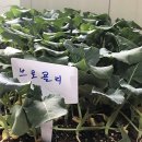부산에듀팜 이미지