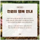 읍내1통 | 배송 언제와? 식명관 천원의행복 내돈내산 구입 후기