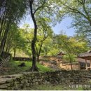 르오네뜨CC 이미지