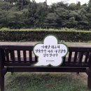 강정천(해군기지) Daum카페