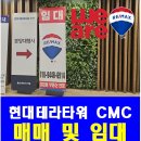 골든테라파트너스