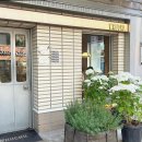 초당하우스 | 강남역 가성비 좋은 양식 맛집 후추포인트 내돈내산 / 초당옥수수 뇨끼 화이트 라구 파스타 하우스 샐러드