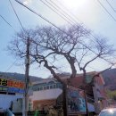 선창마을 이미지