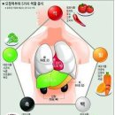 ◆ 야채과일 색깔별 효능 알고 먹자 ◆ 이미지