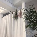 룩흐브로트