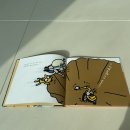 나무와 돌 | 두돌선물 아기 자동차 책, 3세 전집 나무와햇살 타요타요