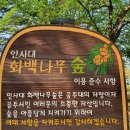 신관로 → 공주대학로 이미지