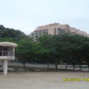 Gold coast 이미지