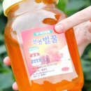 벌꿀집