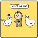 (주)루카스앤에스 이미지