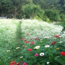 둔창민박 이미지