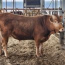 중우축산2 이미지