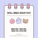 체르니음악교습소