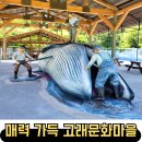 울산 장생포 고래문화마을 입장료, 주차꿀팁 포함 후기