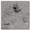 바다, 보다(See The Sea) #4312 이미지