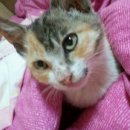 광장 카센타 이미지