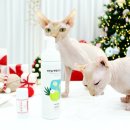 (주)케이소프트 | 메가주 2025 아인솝 케이펫 페어, 고양이 워터리스샴푸·펫밤 체크노트