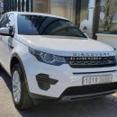 렉서스와이엠 남대구서비스센터 이미지