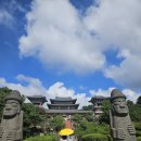 제주몽 - 제주시 | 제주몽