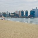 이기대 동생말 이미지