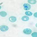 우진메디칼 | 남자친구랑 함께한 완전 최고 데이트!