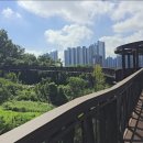 아라파크 | 인천 아라보타닉파크: 제가 직접 다녀온 솔직 후기! (인생샷, 러닝, 데이트 코스 총정리)
