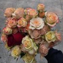 은하수약국 | 아이랑 대중교통으로 남대문시장 갈치조림 골목 맛집 추천 : 목포갈치 후기