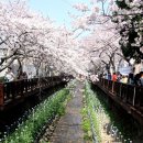 진해구 ⓒ-30 이미지