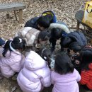(주) 플레이가든 이미지